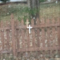 emotional signalwave/vaporwave