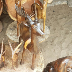 Marabout Gwad