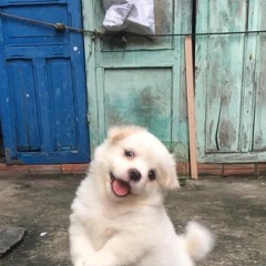 サモン