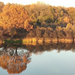 Серый Кривцов