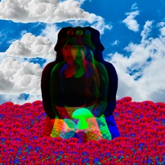 SODIANE