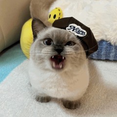 rudr%