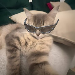 nxvxrlxsx