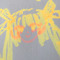 hanookei