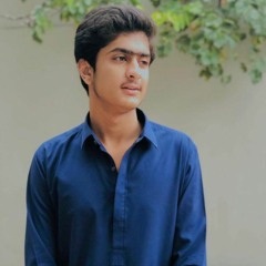 Adil Hasni