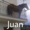 👑juan DJ👑
