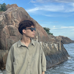 Tran Tuan Minh