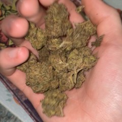 WeeRydo