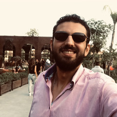 Fady H. Abd El-Ghaffar