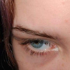 ˏˋ🐈‍⬛ˎˊ˗