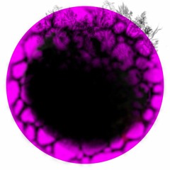 Fuck Les Chtar ( Flc )