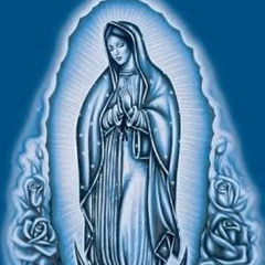 bleubecita
