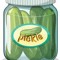 FicklePickleJar