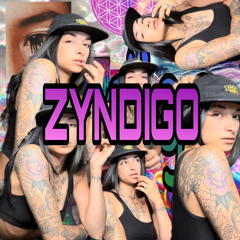 ZYNDIGO