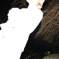 skaluy