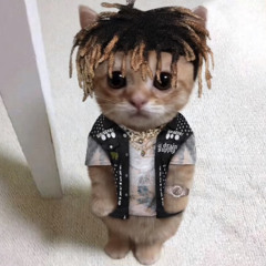 subbywubbycatboy