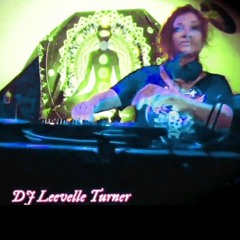 LeevelleTurner- Treibjagd 2024  ( Techno djmix-set free download  )