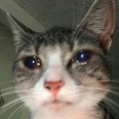 Xoaivjppro