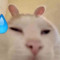 alshai