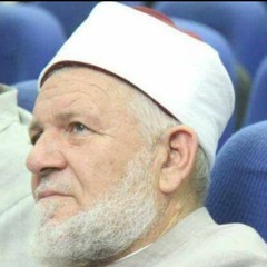 د.طلعت عفيفي