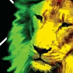 jb,lion