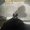rdott_racks