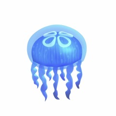 제주도새기