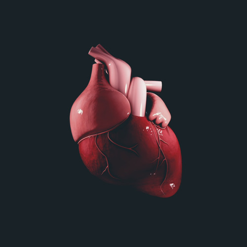 HeartAttack Kid’s avatar