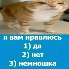 дебилчик