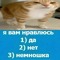 дебилчик