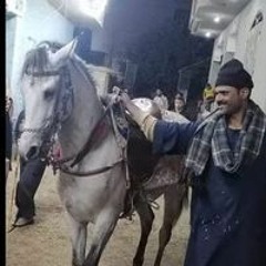 Khalifa Sayed
