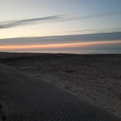 Amy_Soubry
