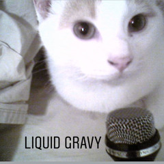 Liquid Gravy
