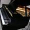Predilection Studio