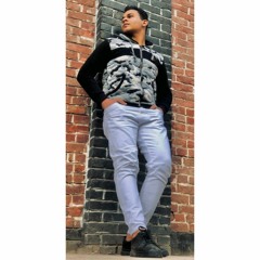 Ahmed Awad Shawki