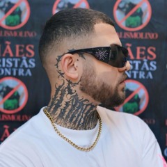 Walker Camaleão