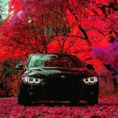 Артем Тернопольський