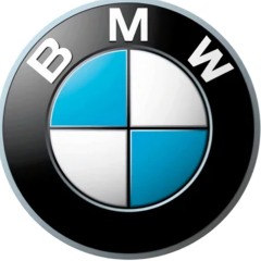 bmw lover