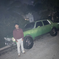 Dayner Berduo-Gonzalez