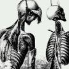 zeal ( ˶°ㅁ°) ! !