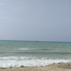 Ali Mallahi.jaski