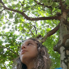 mandala floresta