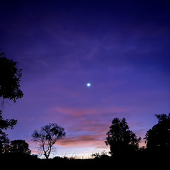 Erick Okumura (Okumura)