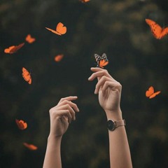 Shaimaa Shaban