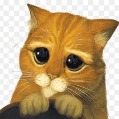 DJGINGERCAT