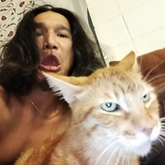 masedawgmaui