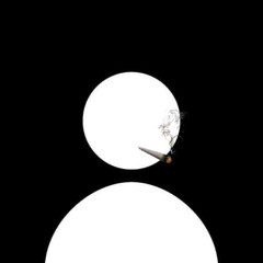 swm