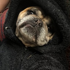 galgito