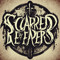 Scarred by Reapers