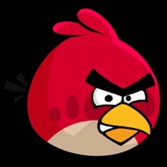 Angry bird